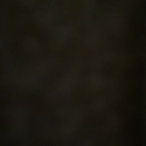 Meet your Posher, Diocelina